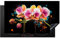KitchenYeah© Herdabdeckplatte 91.6x52.7 cm Einteilig Herdabdeckung Abdeckplatte für Ceranfeld Abdeckung Induktionskochfeld Aufrollbare Matte Orchidee - Graffiti - Farbenfroh - Blumen - Abstrakt