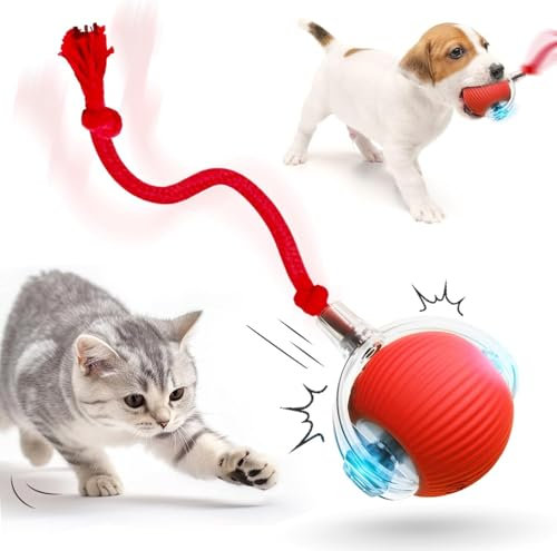 HOIDOKLY 2025 Neu Interaktives Katzenballspielzeug, Hundeballspielzeug, Spielzeug für Haustiere Elektrisch mit USB Aufladbar, DREI Arbeitsmodi, 360° Smart Automatic Rolling Pet Ball (Rot)