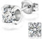 Damenschmuck Ohrstecker mit Moissanit, Moissanit Diamant0.5CT, laborgezüchtet, 925 Sterlingsilber mit 18K Weißgold überzogen, Ohrringe, geeignet für Männer und Frauen, Schmuckgeschenk.