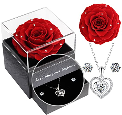 Yamonic Rose Eternelle avec Bijoux Argent 925,Cadeau Femme, Rose Préservée avec Collier Femme Coffret Cadeau Noel Saint Valentin Femme Anniversaire Fete des Mere Cadeau Maman Je t'aime pour Toujours