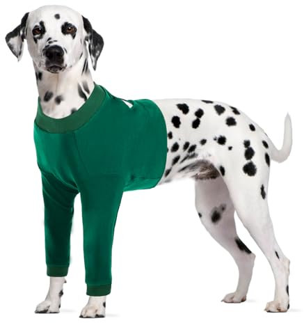 CITÉTOILE Hundebody Nach Op, Wundschutzanzüge für Hunde Mit Bein, Vornebeinschutz für Verletzung Hund, Anti-Wundlecken Op Body Hunde, E-Kragen Alternative, Grün, XL