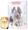 Dream Catcher Album - My Christmas Sweet Love POCA ver.+Pre Order Benefits+BolsVos Exclusive K-POP Giveaways Package