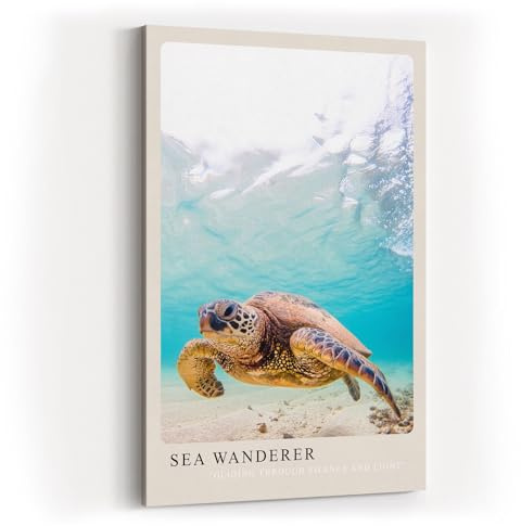 Paul Sinus Kunstdruck 40x60cm Sea Wanderer mit Meeresschildkröte unter Wasser in Türkis