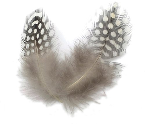 50pz Lotti Tintura Faraona Gallina Piume Di Pollo Natura 5-10cm