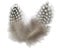 50pz Lotti Tintura Faraona Gallina Piume Di Pollo Natura 5-10cm