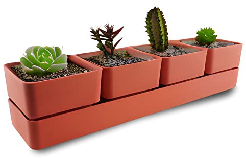 ECOMACETAS FLOWERPOT STORE Maceta para Suculentas con 4 recipientes, 6 Colores Distintos, con Drenaje y Bandeja Incluido. (Rojo Coral, 1 und)