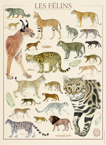 Nathan - Puzzle 500 Teile - Die Katzen/Nationalmuseum für Naturgeschichte - Erwachsene und Kinder ab 12 Jahren - Premium Puzzle - Nostalgie Collection - 12000978