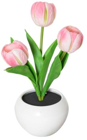 Eieenotee Tulpenlampe Leuchtet Blumen-Schreibtischlampe, LED-Tulpen-Nachtlicht f¨¹r Zuhause und Wohnzimmer