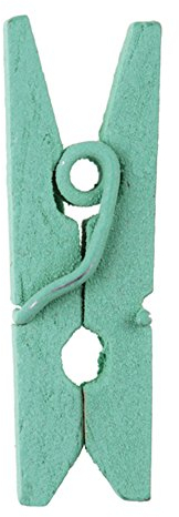 Pince à linge Vert d'eau x24