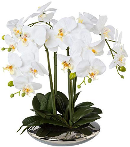 Unbekannt XL Orchidee weiß, im Silbertopf, 41 cm