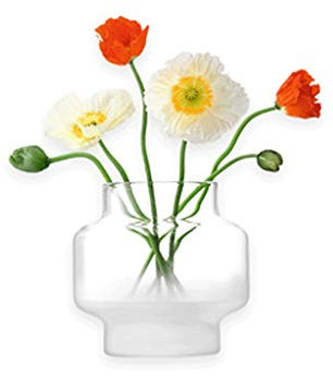 vase Cristal Mist en Verre Transparent Salon Fleur, Lumière Luxe Creative Décoration, Verre Cristal Florale et Fleurs séchées Décoration Ameublement (Color : Clear, Size : 14.5cm*30cm)