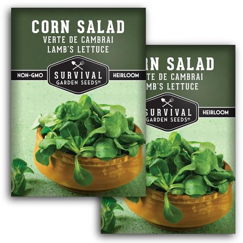 Corn Salad Seeds for Planting - Mache, Lamb's Lettuce - Cold Hardy Salad Greens - Heirloom Verte de Cambrai Variety - Non GMO Green Leafy Vegetable - Survival Garden Seeds (2 Packs)