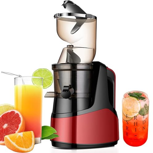 1000ML Fruit and Vegetable Juicer - High Juice Yield: 90%, 50RPM - Low Oxidation Slow Juicer, Fully Automatic Ice Cream Machine, BPA Fr-ee Home Juicer,A