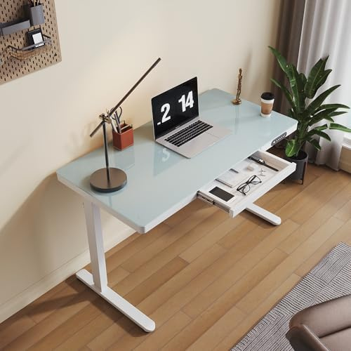 SONNI Elektrisch Höhenverstellbarer Schreibtisch, 120x60cm, Upgrade Motor mit Memory-Funktionen, USB- und Typ-C-Ladeanschluss, Ablagefach, Steh-Sitz Tisch für Homeoffice, Weiß, 70KG Traglast