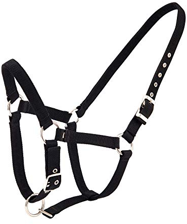 Merauno® Halterset Trendy Nylon Pferd Halfter Silber Verstellbare Schnalle im Nacken und in der Nase Hochwertiges Polyesterband für Pony Vollblut Warmblut (Cob, Schwarz)