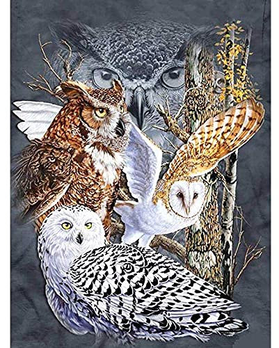 Owl Animal Night Puzzle Games Jigsaw Puzzles 1000 Pieces for Adults Games for Adults Teens and Kid