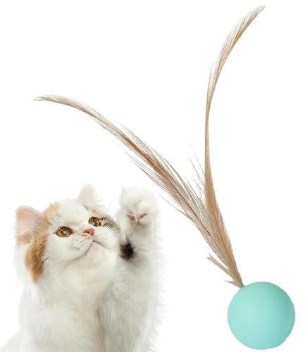 Katzenball mit Feder – Katzen-Beißspielzeug-Ball, solide, elastisch, Kauball, Gummi, bissfest, Hundespielzeug