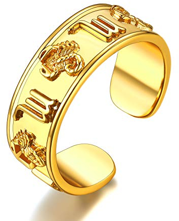 FaithHeart Vintag Ring Herren Damen Sternzeichen Skorpion Ring Sternbild Ring Offener verstellbarer Ring für Valentinstag Weihnachten Geburtstag