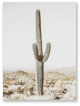 Wüste Saguaro Skandinavien Leinwand Poster Drucke Pastell Saguaro Kaktus Botanische Fotografie Wand Kunst Bild Malerei Home Decor 50X70Cm Kein Rahmen
