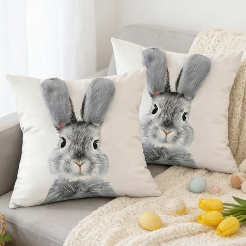 Shengruili 2 Stück Kissenbezüge Osterhase,Ostern Deko Hase Kissenhülle 45x45cm,Kissenhülle Osterdeko Hase Kissenbezüge,Kissen KissenhülleOstern Dekoration,Osterdeko Kissenbezug