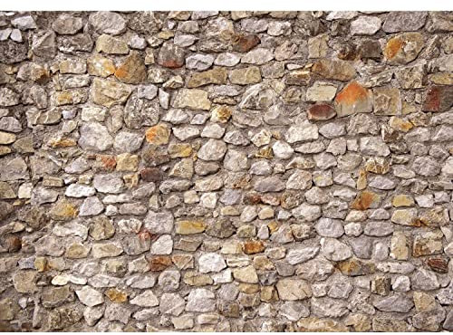 Runa Art Fototapete Steinwand Steinmauer Modern Vlies Wohnzimmer Schlafzimmer - Made in Germany - 308 x 220 cm Braun 9292010a