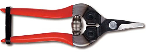 ARS 310-D Curved Blade Fruit Pruner 160mm