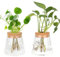MJFENDAI 2 jarrones para plantas hidropónicas, pequeños jarrones vintage para decoración de mesa, jarrón de cristal, estación de propagación, jarrón de bolas para plantas, flores, plantas de interior