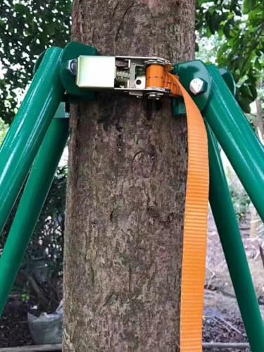 Großer Rosen- und Glyzinien-Baum-Stützrahmen, verstellbares 2,5 m Pfahlsystem für Outdoor-Pflanzen, Steckset für 1,5 m, 1,8 m, 2 m Bäume und Pfingstrosen (2,9 m Höhe)