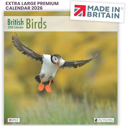 ALLTRADE Kalender 2026, britische Vögel, Premium-Kalender 2026, große Wand, Feiertage in Großbritannien, hergestellt in Großbritannien, Solarenergie, FSC®-Papier, Fotos von Laurie Campbell unterstützt