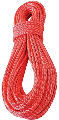 TENDON Canyon Dry 9,0-Flotante Brillante-R Cuerdas, Adultos Unisex, Rojo (Rojo), 100m