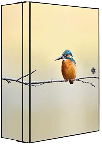 banjado Medizinschrank abschliessbar mit Motiv Pause 35x46x15cm - großer Arzneischrank für die Hausapotheke - Medikamentenschrank aus Metall zur Medikamenten Aufbewahrung