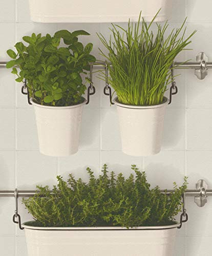 Hanging Basket Wallpaper Green Grey Botanical Plant Leaf