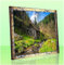 Puzzello Puzzlerahmen Bilderrahmen Posterrahmen 48x68 cm Blau Gold Meliert 68x48 cm mit klarem Kunstglas