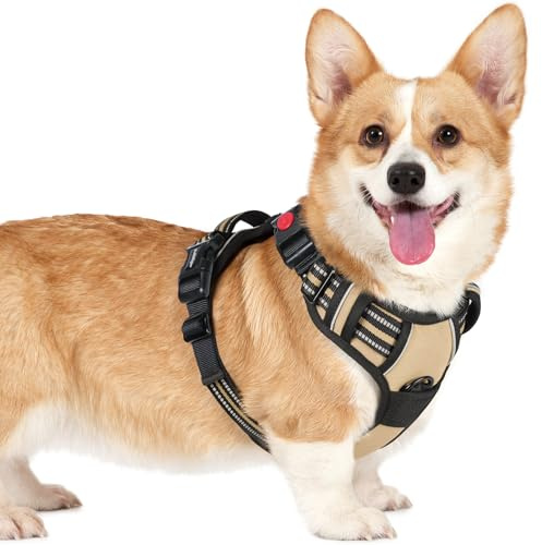 rabbitgoo Hundegeschirr Kleine Hunde, Verstellbare Geschirr Hund ohne Zug & Würgen, Anti Zug hundegeschirr mit Griff, weich Gepolsterte Reflektierende Brustgeschirr, Beige S
