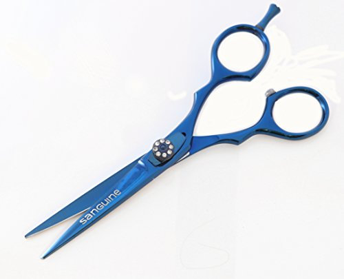 Ciseaux de Coupe de Cheveux Ultra Tranchants, Ciseaux de Coiffure avec Lames Convexes Japonaises - Réduit les Pointes Fourchues - 14 cm + Étui: Des Ciseaux Professionnels pour une Coupe Précise