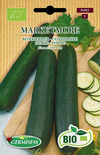 Germisem Gurke MARKETMORE, ECBIO4023