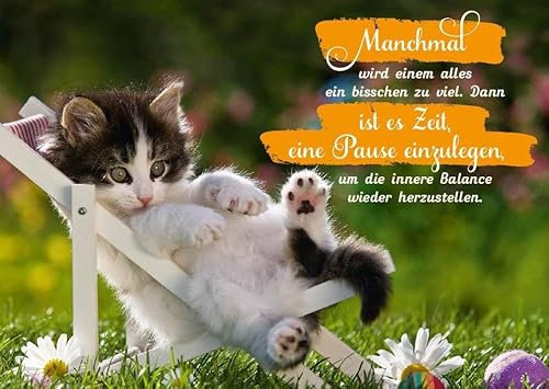 Gutsch Verlag Tier-Postkarte Manchmal ist es Zeit, eine Pause einzulegen - Niedliches Katzenmotiv - Hochwertige Druckqualität - Perfekt zum Verschenken oder Dekorieren