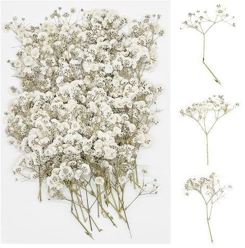 Cayway 60 Stück Getrocknete Gepresste Blätter, Natürliche Getrocknete Blumen, Natürliche Trockene Blätter für DIY Harz Schmuck Nail Crafts Art Blumendekoration