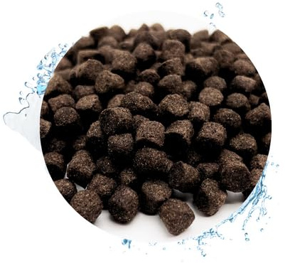 Warnick's Fischfutter Koifutter Winter sinkend 5 mm - 15 kg | Herbst- & Winterfutter für Koi & Zierfische - Sinkend & leicht verdaulich bei niedrigen Temperaturen