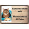 INDIGOS UG - PVC 5mm Schild - Katze - mit Wunschtext und Foto - Spruch - Design Deko Geschenkidee individuell personalisiert - Schilder selbst gestalten