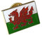 KnF Supplies Metal Enamel Pin Badge Brooch Welsh Wales Flag