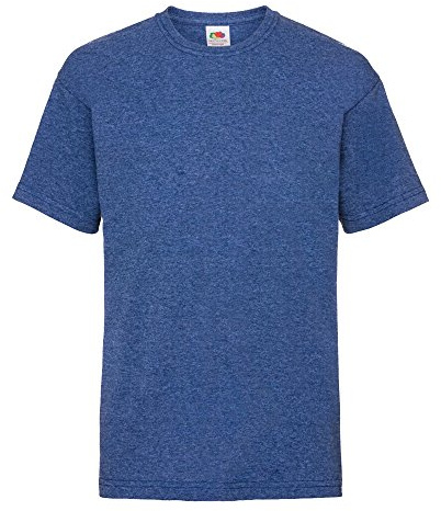 Fruit of the Loom Childrens/Kids Unisex Valueweight Short Sleeve T-Shirt (14-15) (Retro Heather Royal)