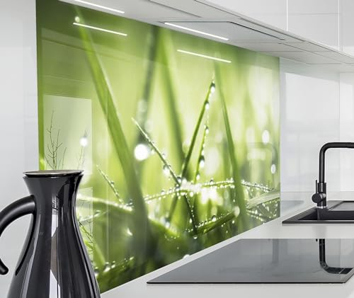 timalo Spritzschutz Wand für Herd, Küche Küchenrückwand Glasoptik | Acryl Glas 2mm | Glasrückwand Acrylglas Wandpaneele Rückwandschutz Platte | 120x80cm Gras mit Regentropfen