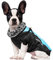 Dociote Hundemantel mit Geschirr - Hundejacke für mittelgroße Hunde Winter - Wasserabweisender & Warmer Wintermantel Winterjacke mit Pelzkragen & Reißverschluss Blau 3XL