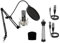Audibax Berlin 1800 Silver Pro - Microfono a Condensatore da Studio - Include Supporto, Anti-pop e Cavi - Risposta in Frequenza 20 Hz/20 KHz - Microfono con Diagramma Polare Cardioide - Colore Argento