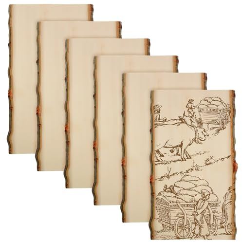 Briwooody Confezione da 6 tavole di legno cave con bordo vivo, per artigianato, rustiche, per fai da te, decorazioni per la casa e matrimoni (27,9 x 19,9-23,9 cm)
