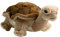 Carl Dick Schildkröte, Landschildkröte, Plüschtier, Kuscheltier ca. 21cm 2763
