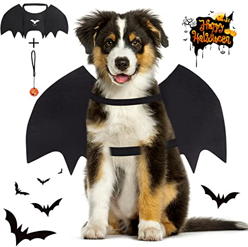 Vivifying Halloween Fledermausflügel Hund mit Kürbisglocke, M (Schwarz) | Verstellbar für 12,6-20,5 Zoll Hals- und 13,5-24,4 Zoll Brustumfang, für Halloween, Cosplay, Partys und Fotos, für Hunde