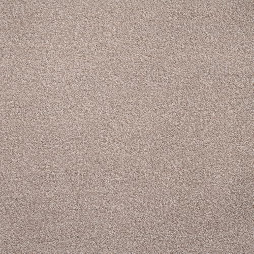 247Floors Flecked Twist Pile Carpet Roll, Hardwearing Felt Backing (5.5m x 4m, Fawn Beige)
