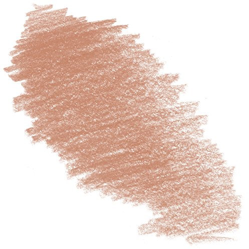 Caran Dache NEOCOLOR II: Künstler Aquarell Buntstifte: BURNT SIENNA